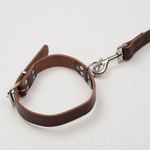 pet safety custom luxury leather dog collar